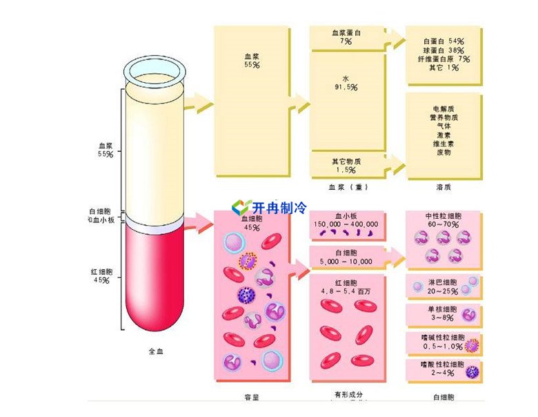 -30℃～-80℃血漿蛋白低溫冷凍庫規(guī)范，冷庫安裝價格